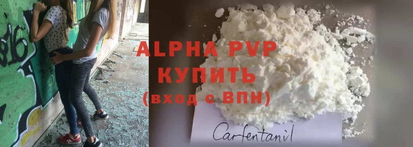 амф Богородицк
