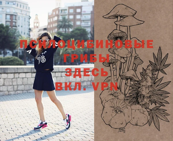 спайс Беломорск