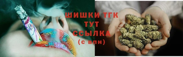 мдпв Богданович