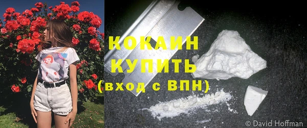 спайс Беломорск