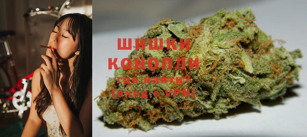 мдпв Богданович