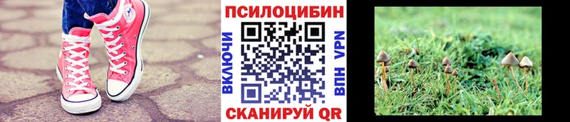 Галлюциногенные грибы прущие грибы  гидра онион  Чёрмоз 