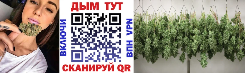 Бошки Шишки марихуана  Чёрмоз 